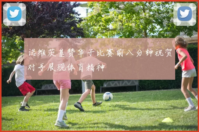 诺维茨基赞华子比赛前八分钟祝贺对手展现体育精神