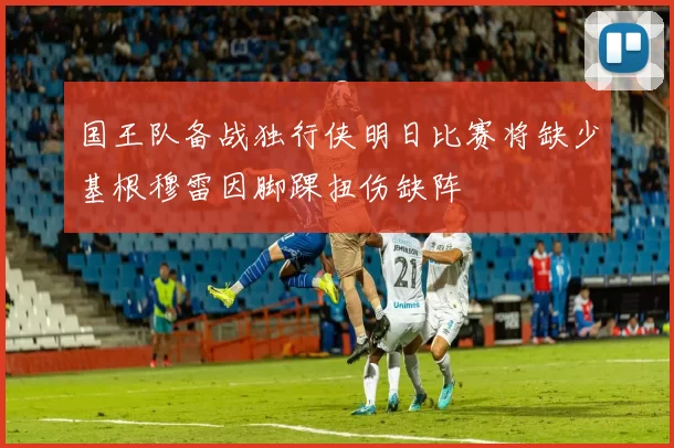 国王队备战独行侠明日比赛将缺少基根穆雷因脚踝扭伤缺阵